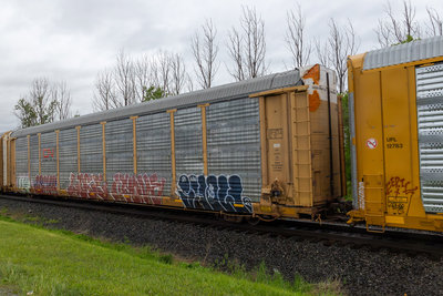 TTGX 702377