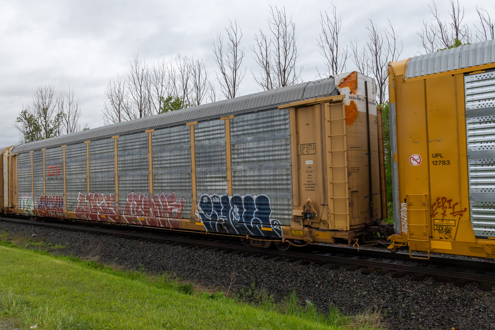 TTGX 702377