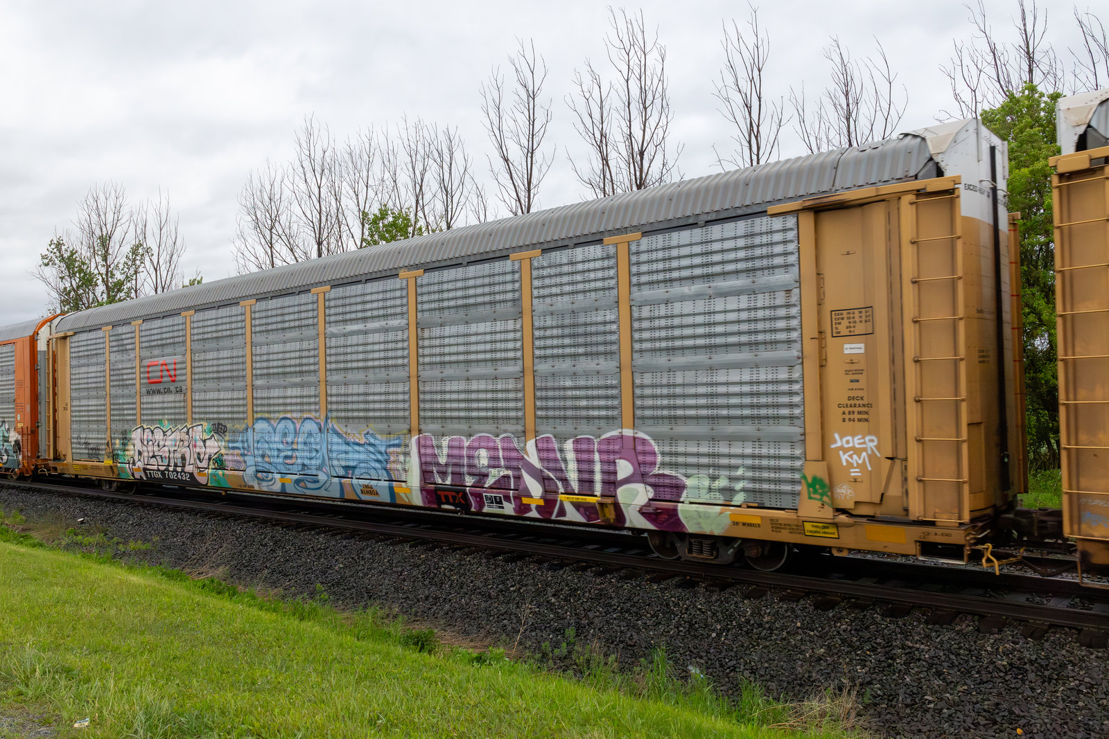 TTGX 702432