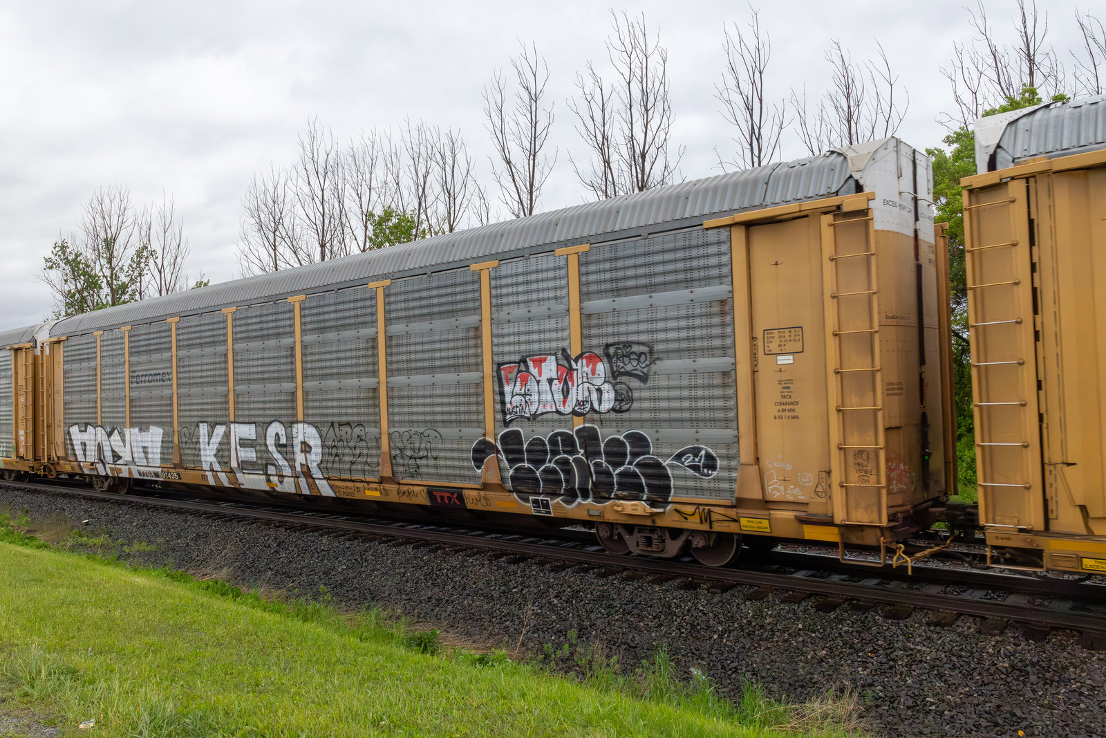 TTGX 991435