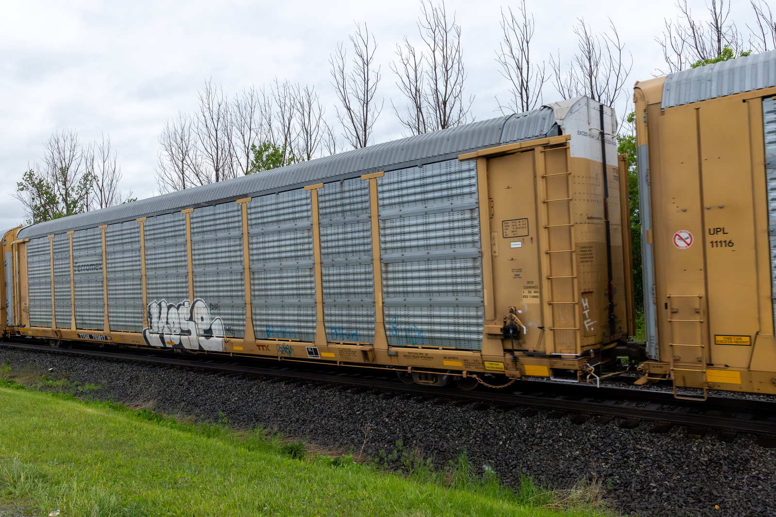 TTGX 703817