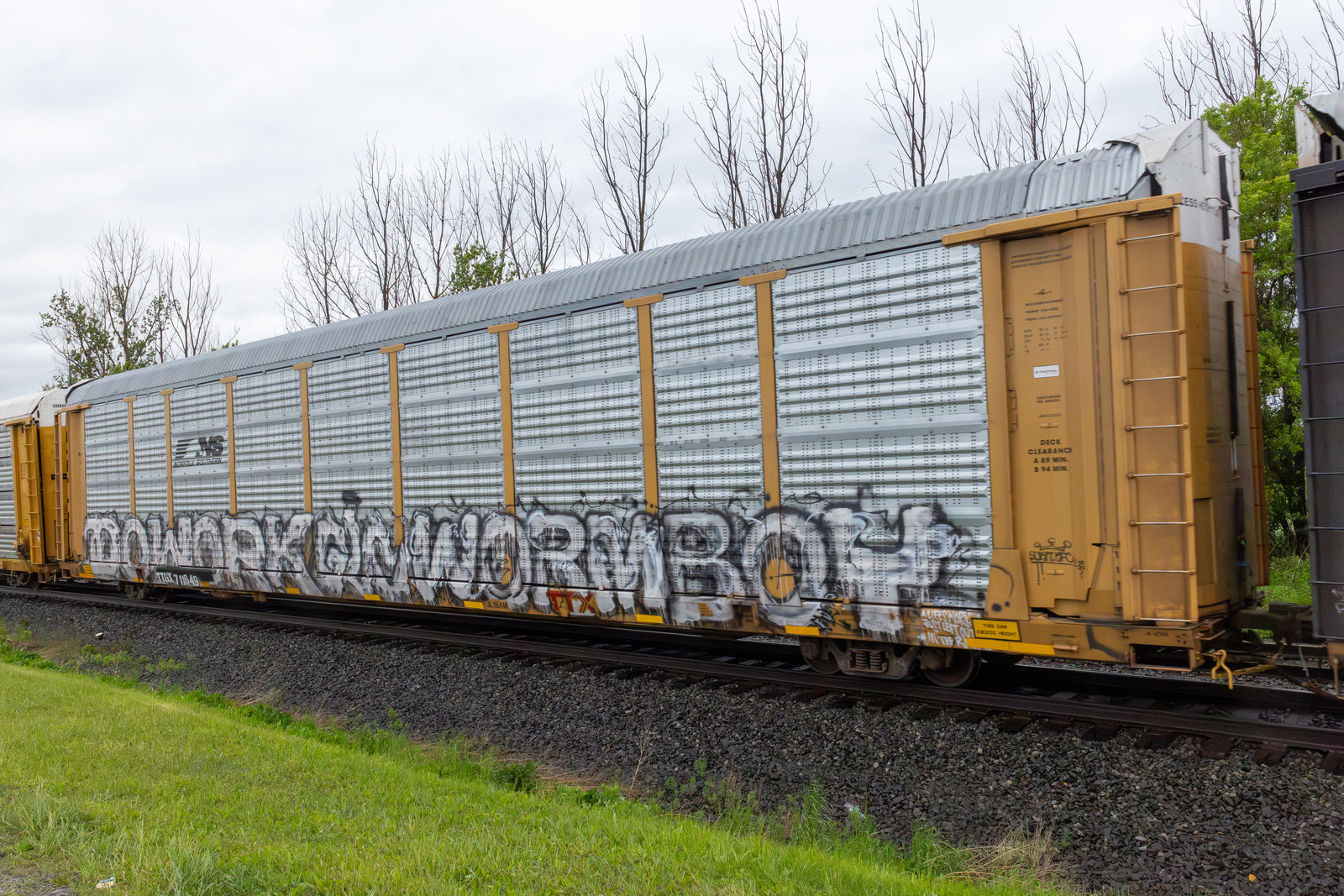 TTGX 711649