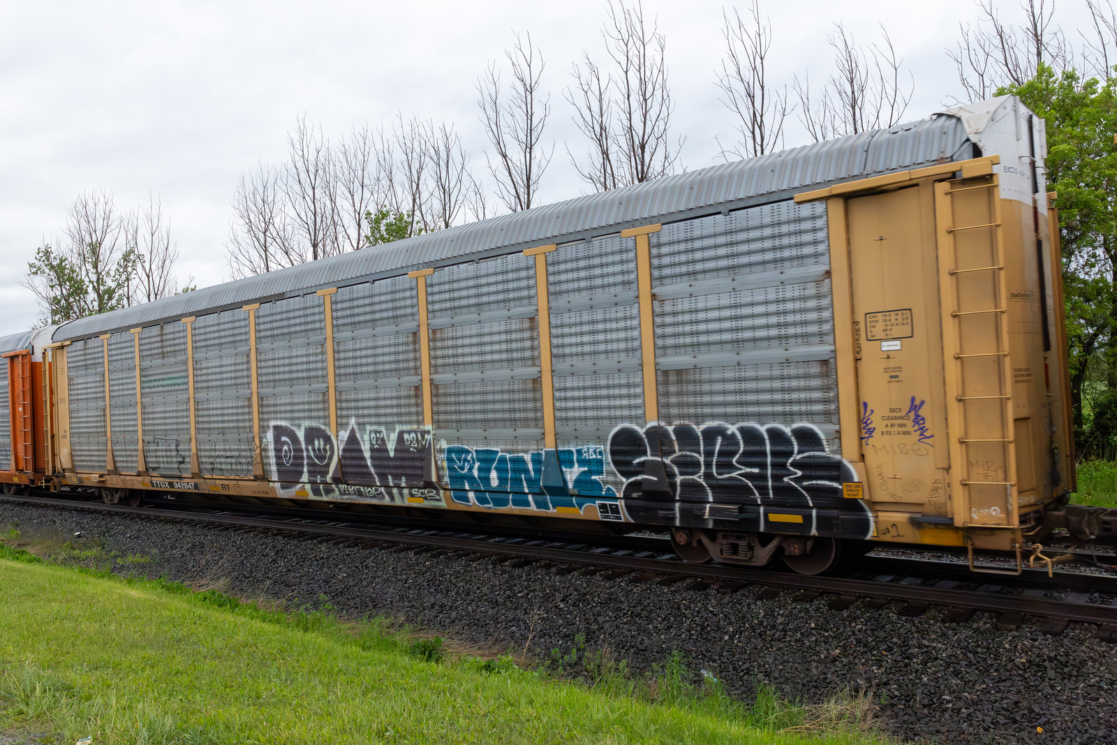 TTGX 942647