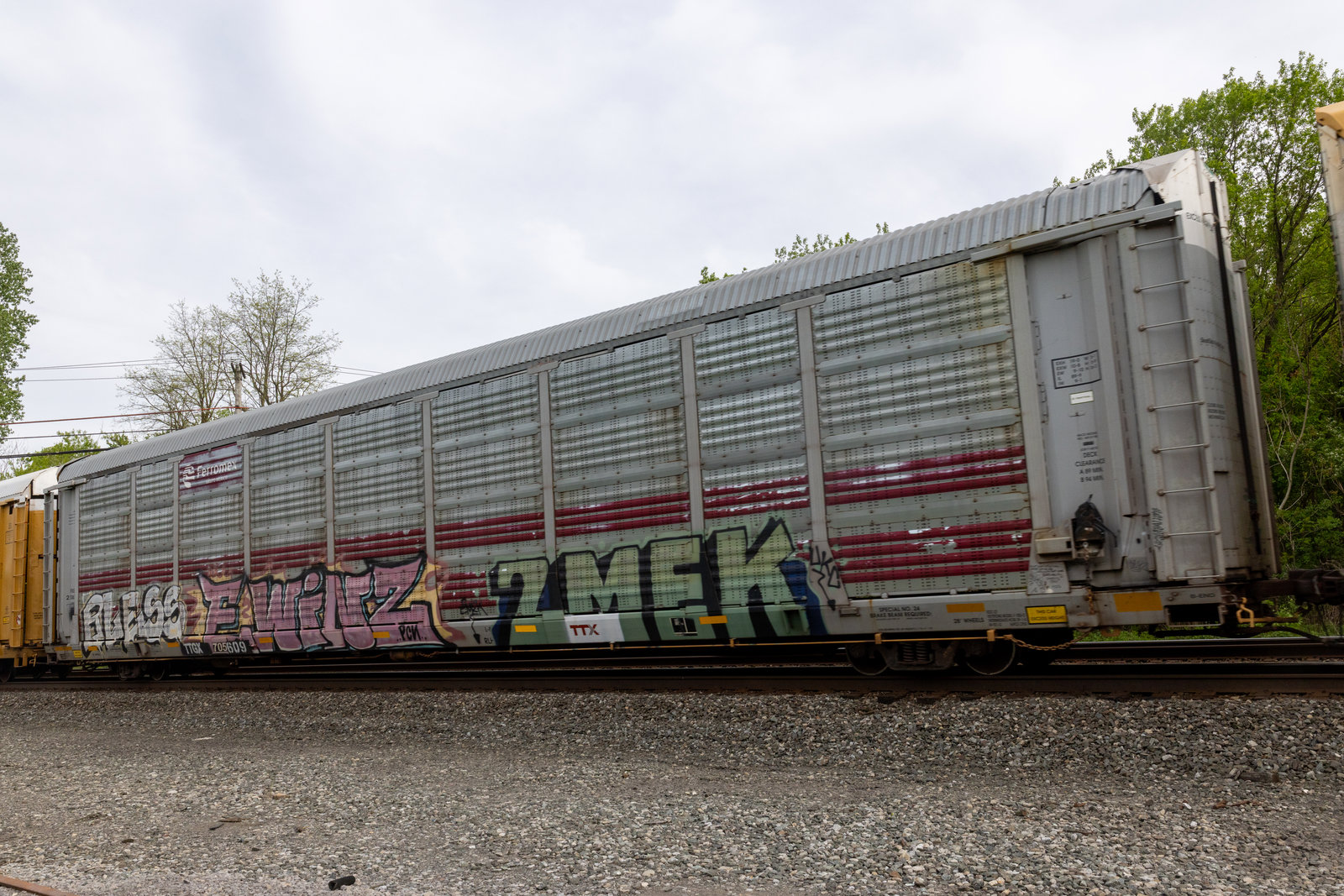 TTGX 705609