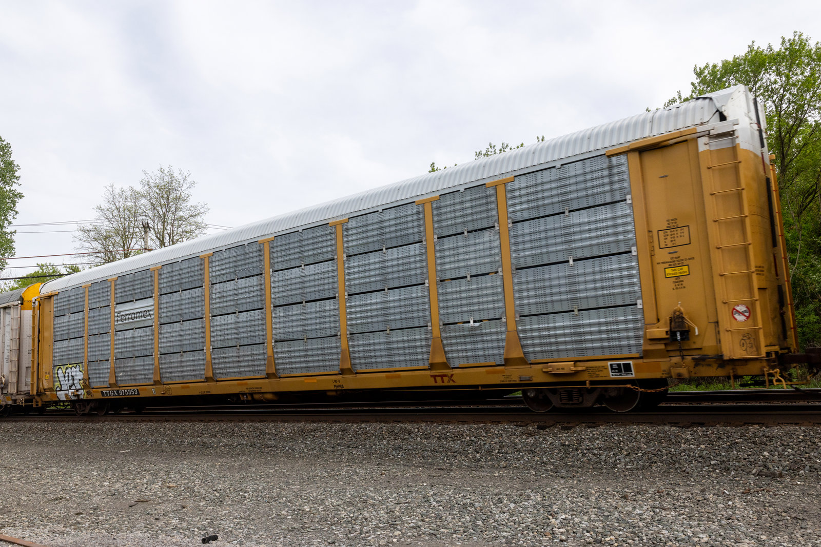 TTGX 975353