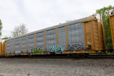 TTGX 977251