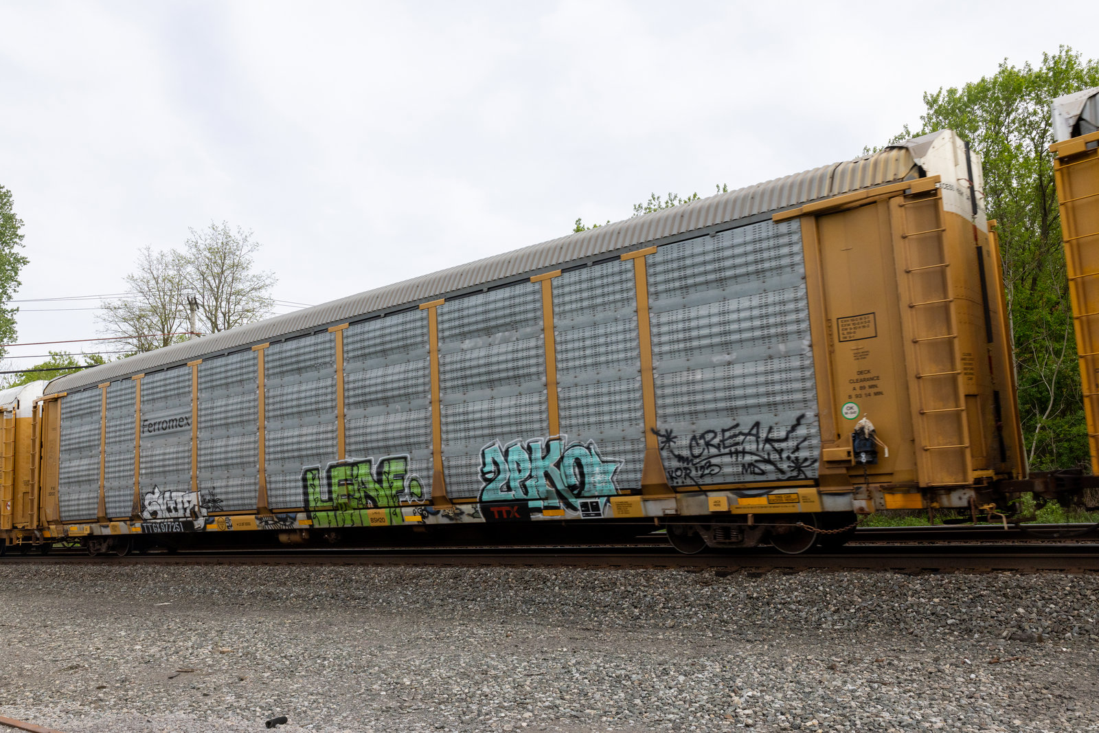 TTGX 977251