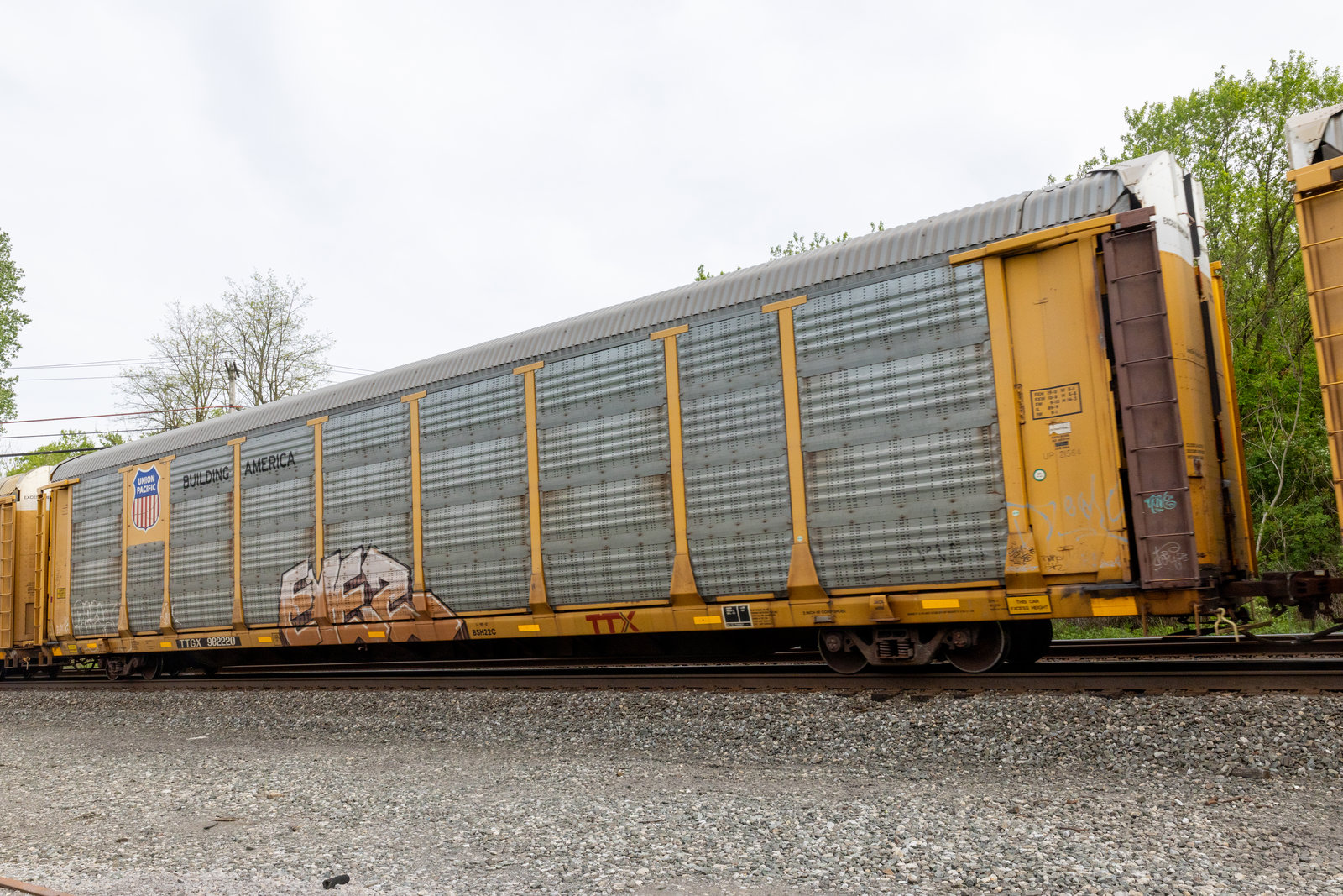 TTGX 982220