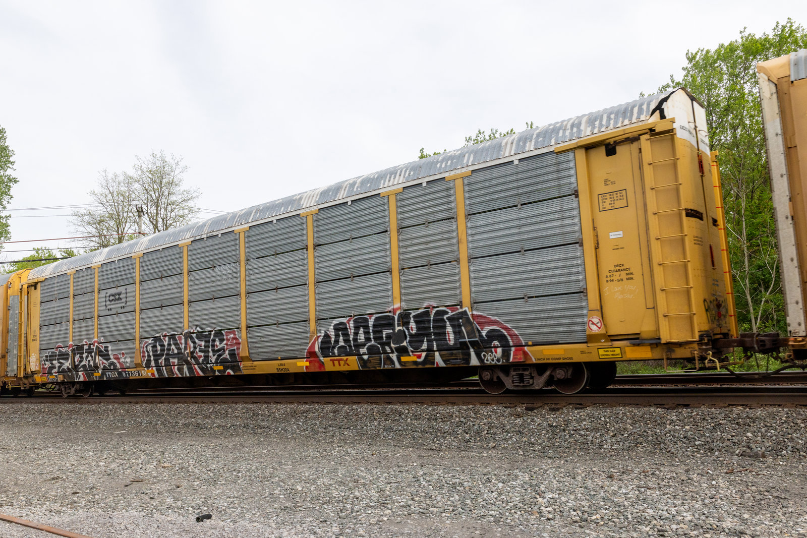 TTGX 971361