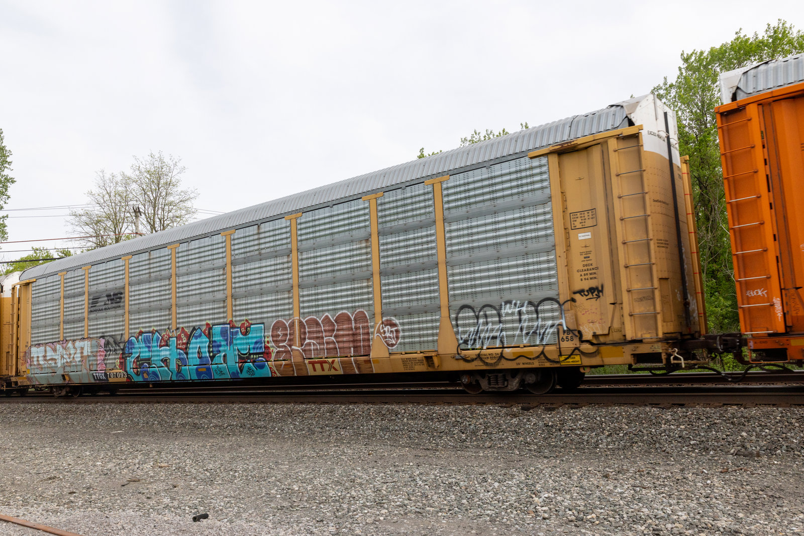 TTGX 707093