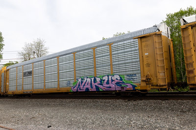 TTGX 988713