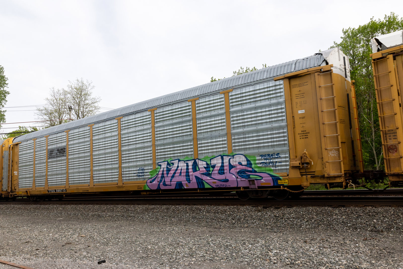 TTGX 988713
