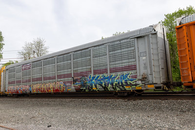TTGX 705552