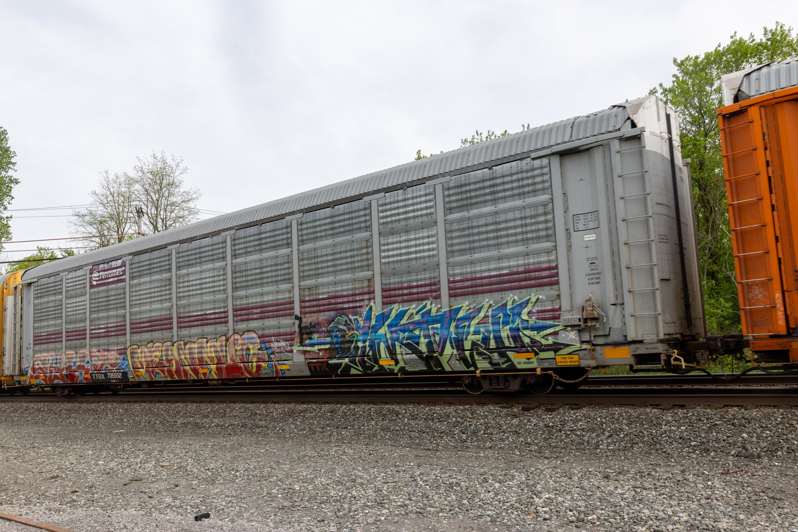 TTGX 705552