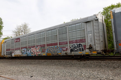 TTGX 705673
