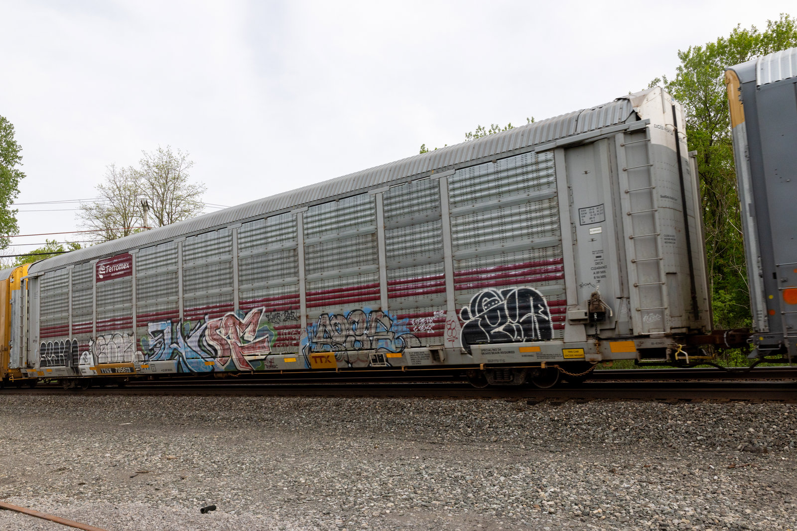 TTGX 705673