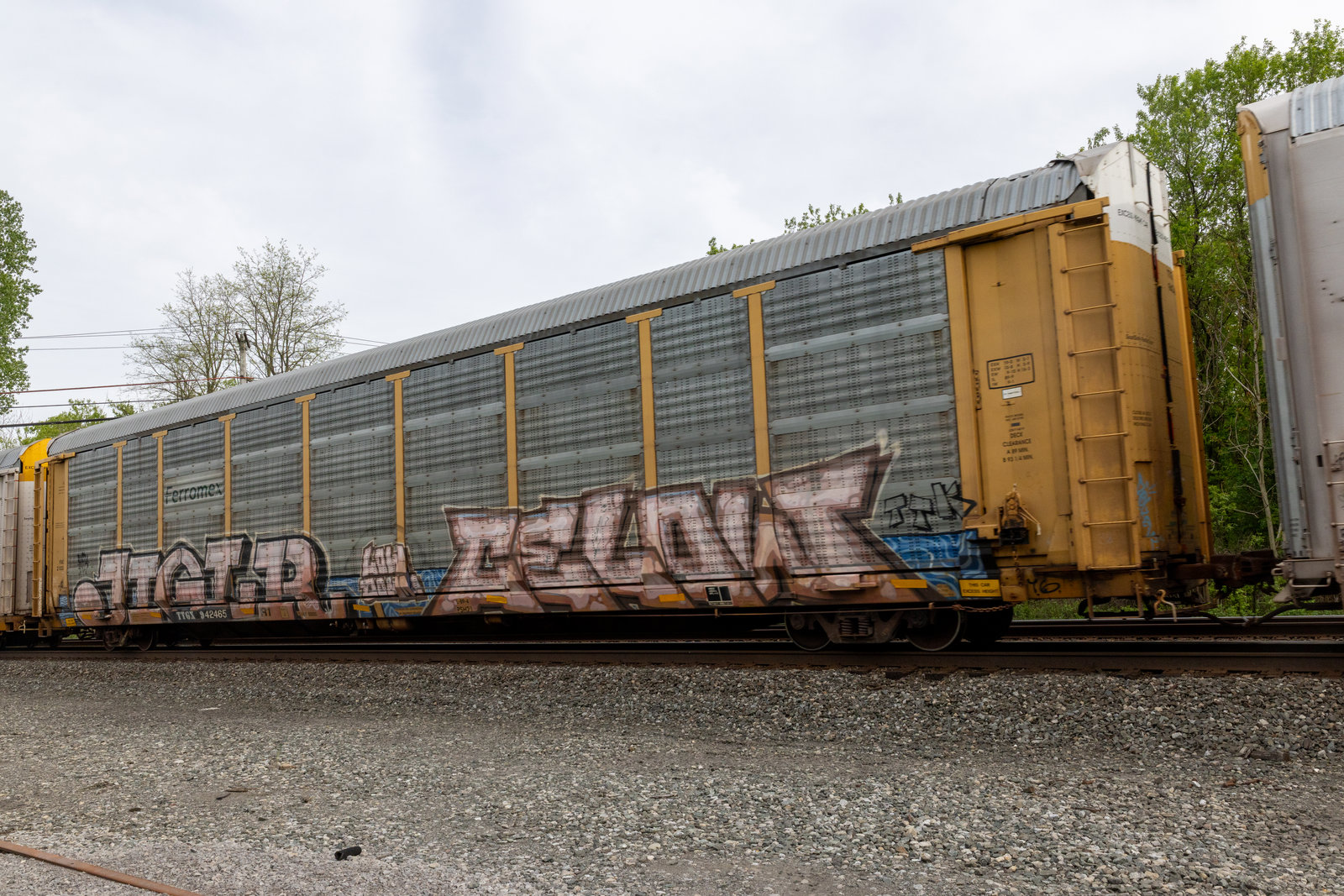 TTGX 942465