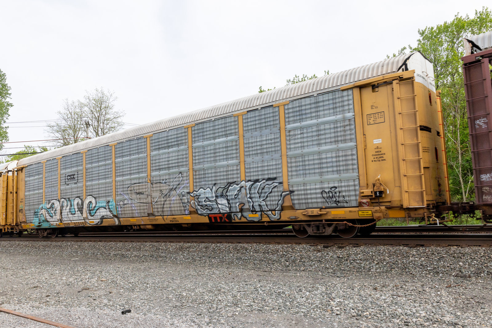 TTGX 973404