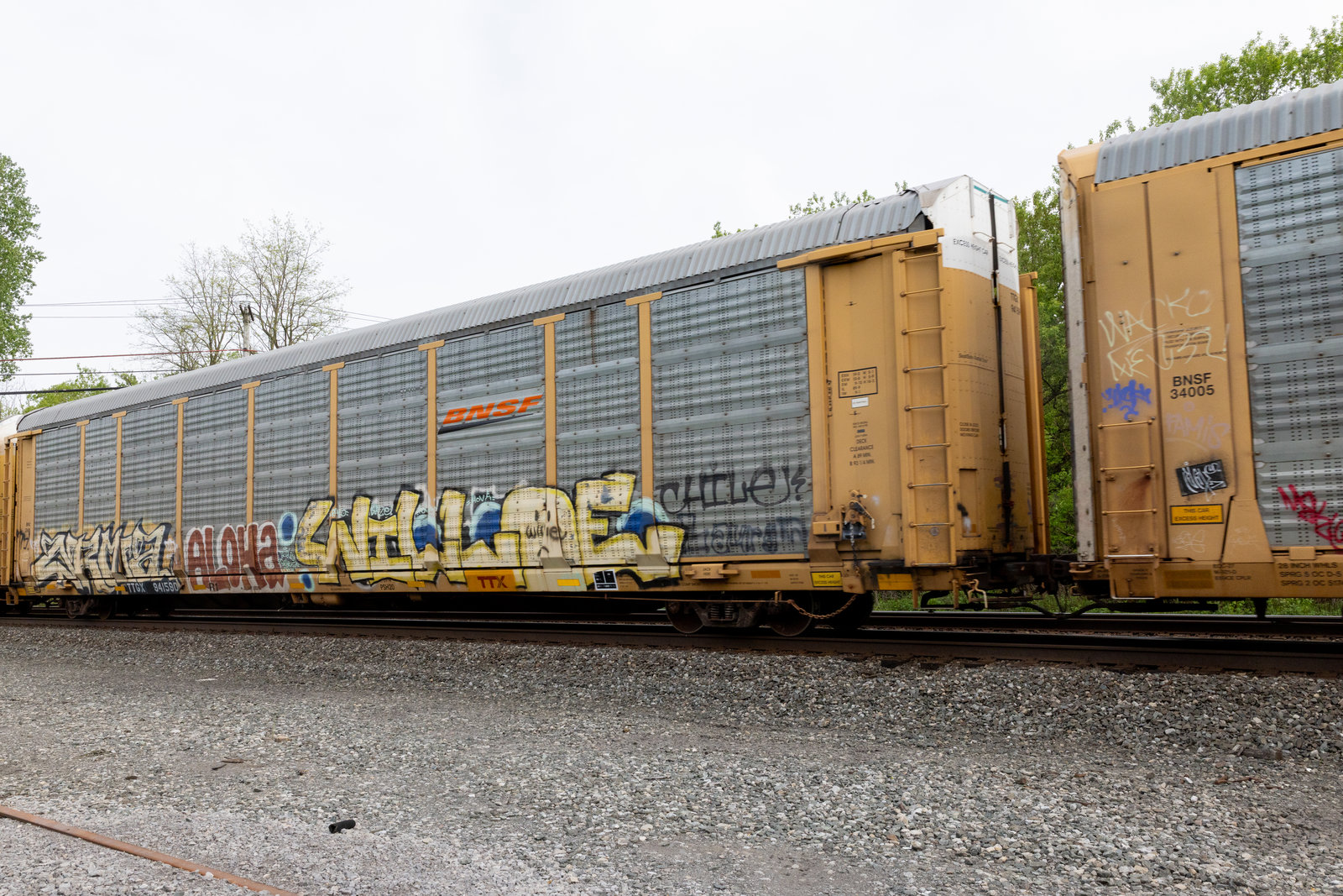 TTGX 941590