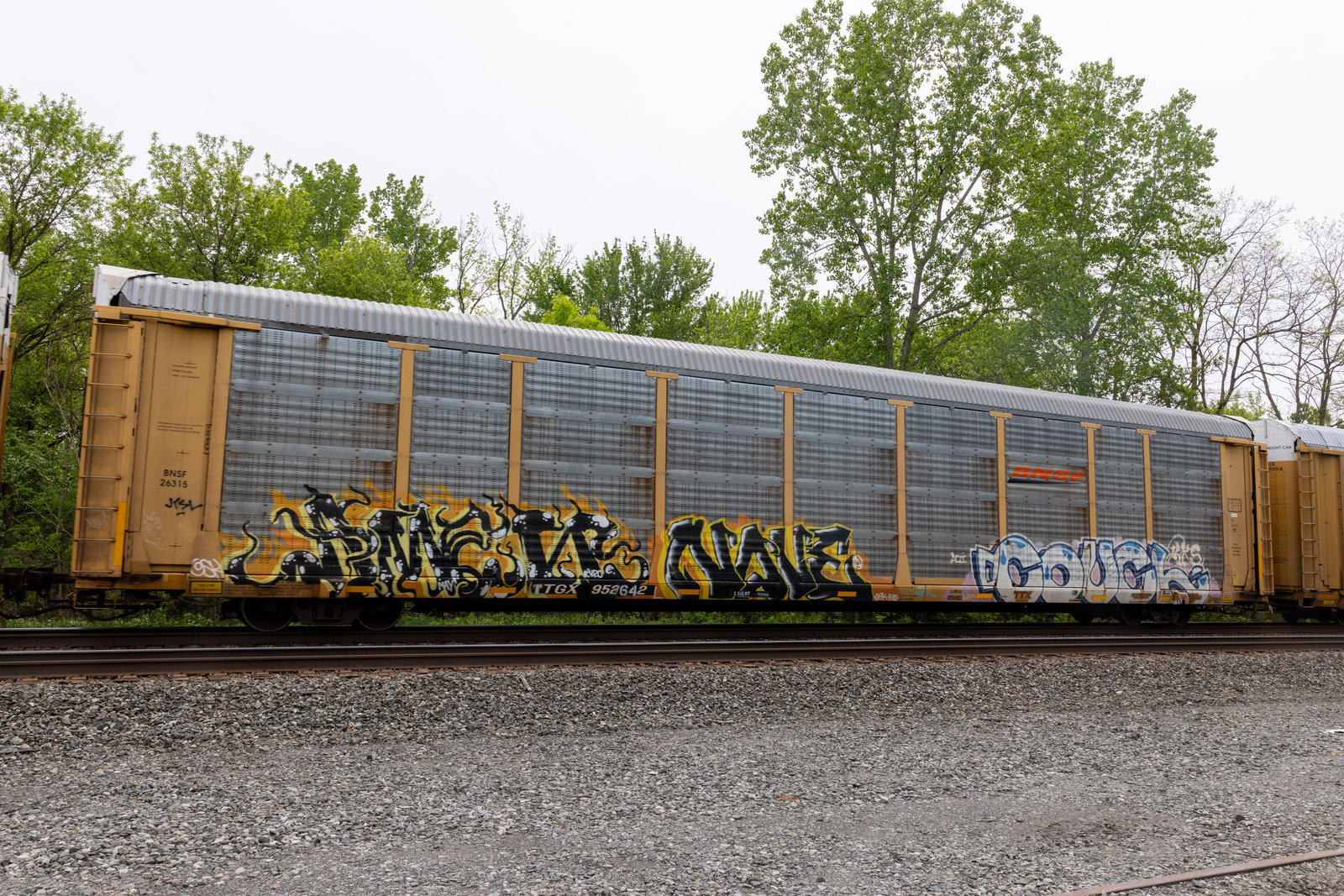 TTGX 952642