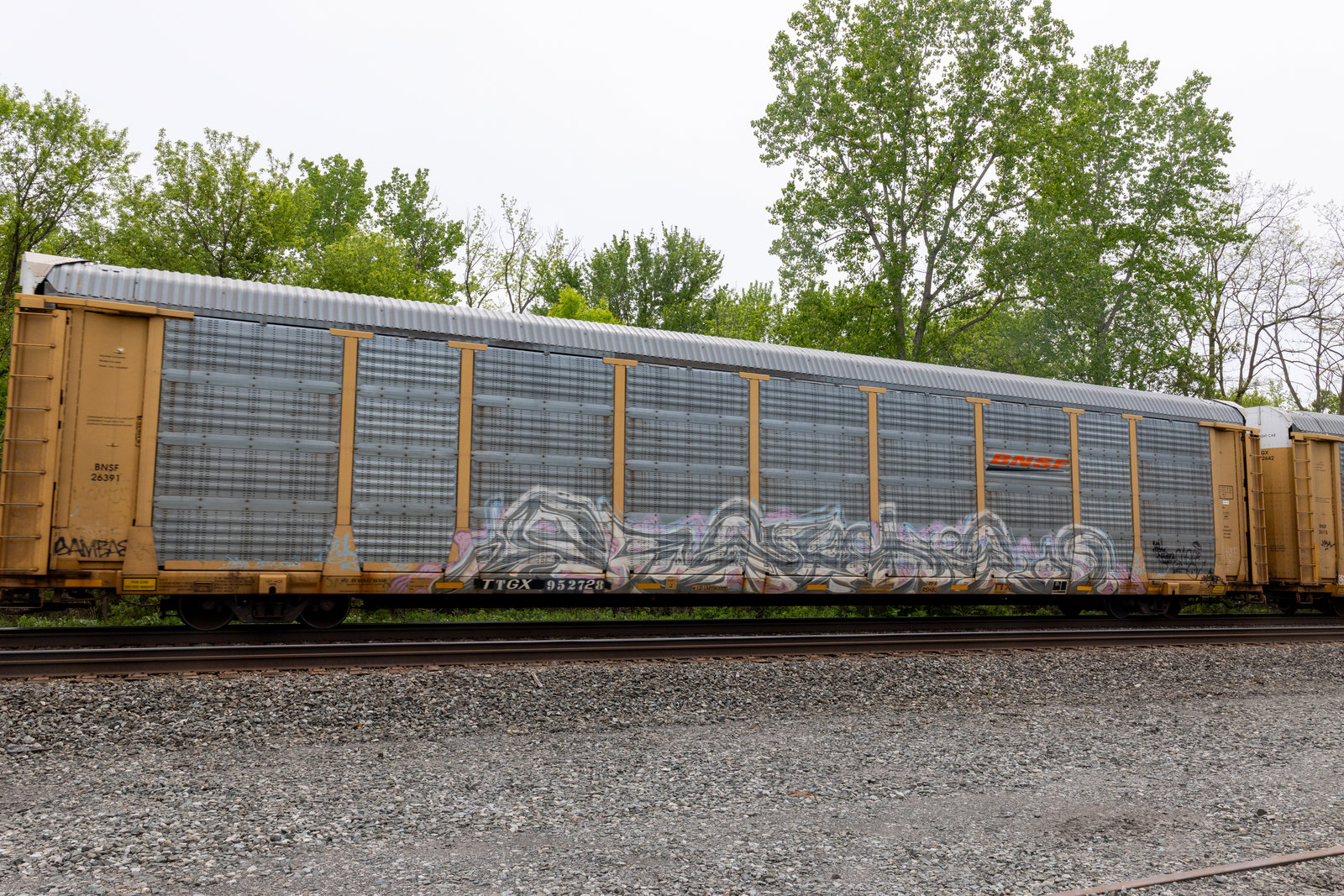 TTGX 952728