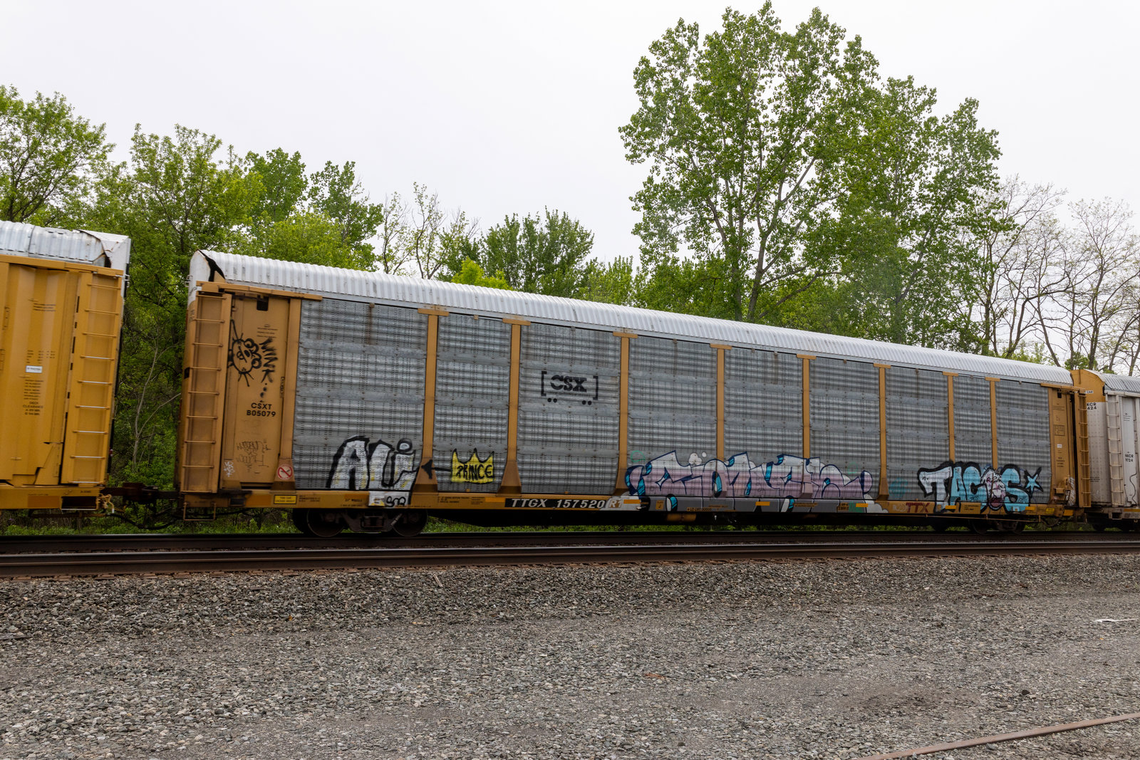 TTGX 157520