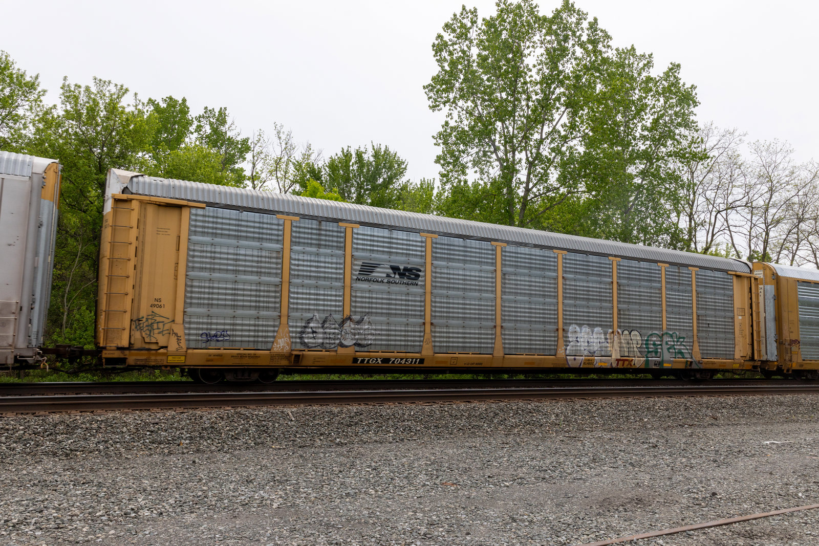 TTGX 704311