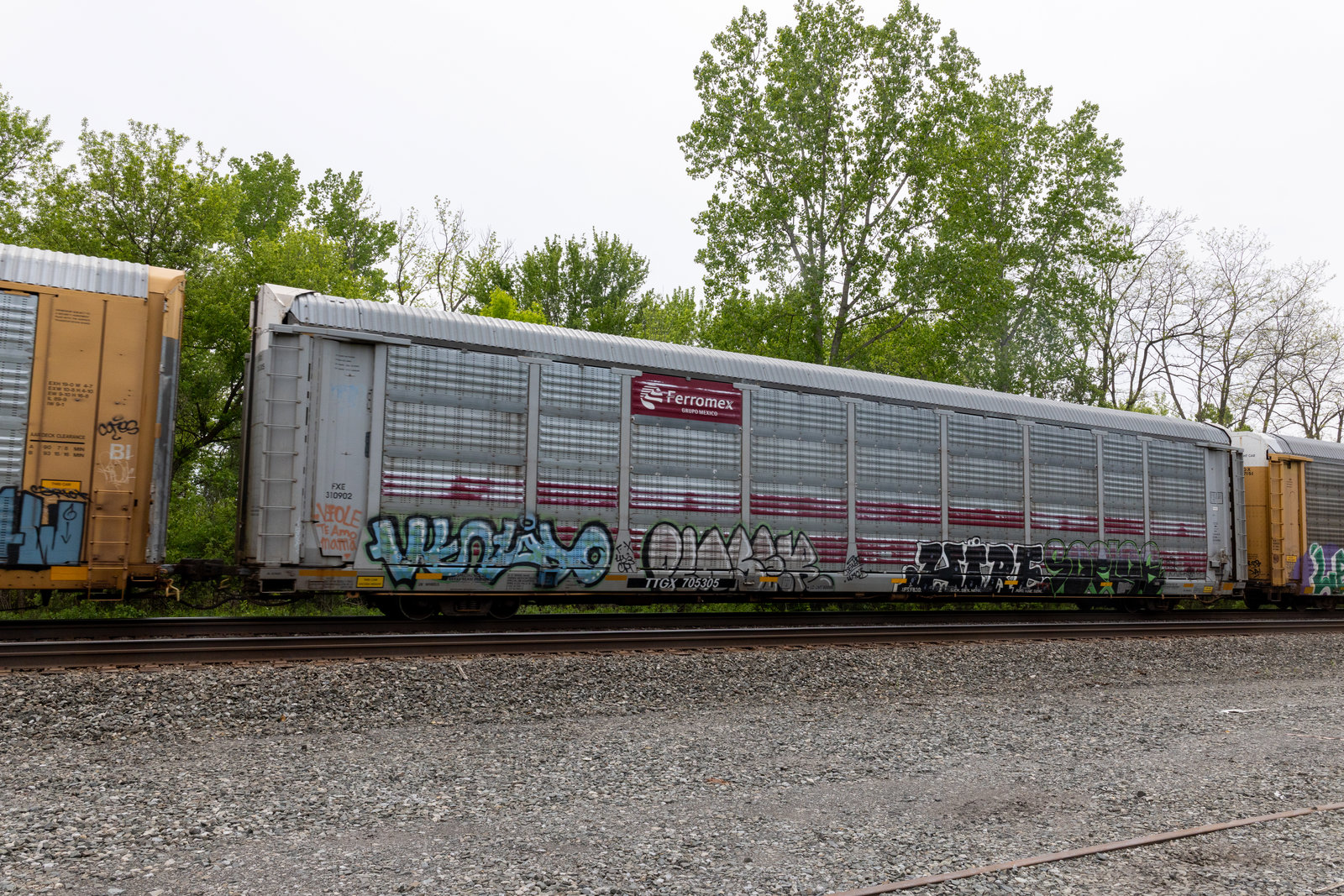 TTGX 705305