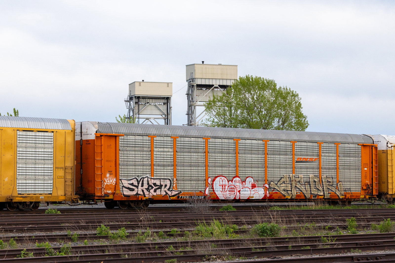 TTGX 953486