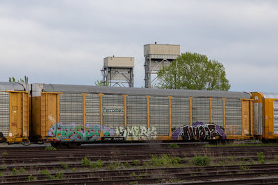 TTGX 703740