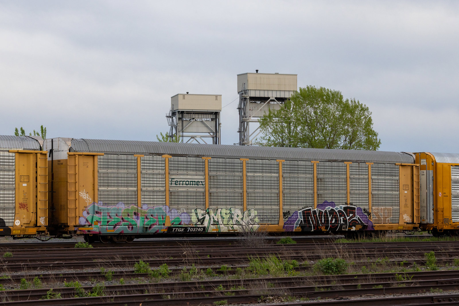 TTGX 703740
