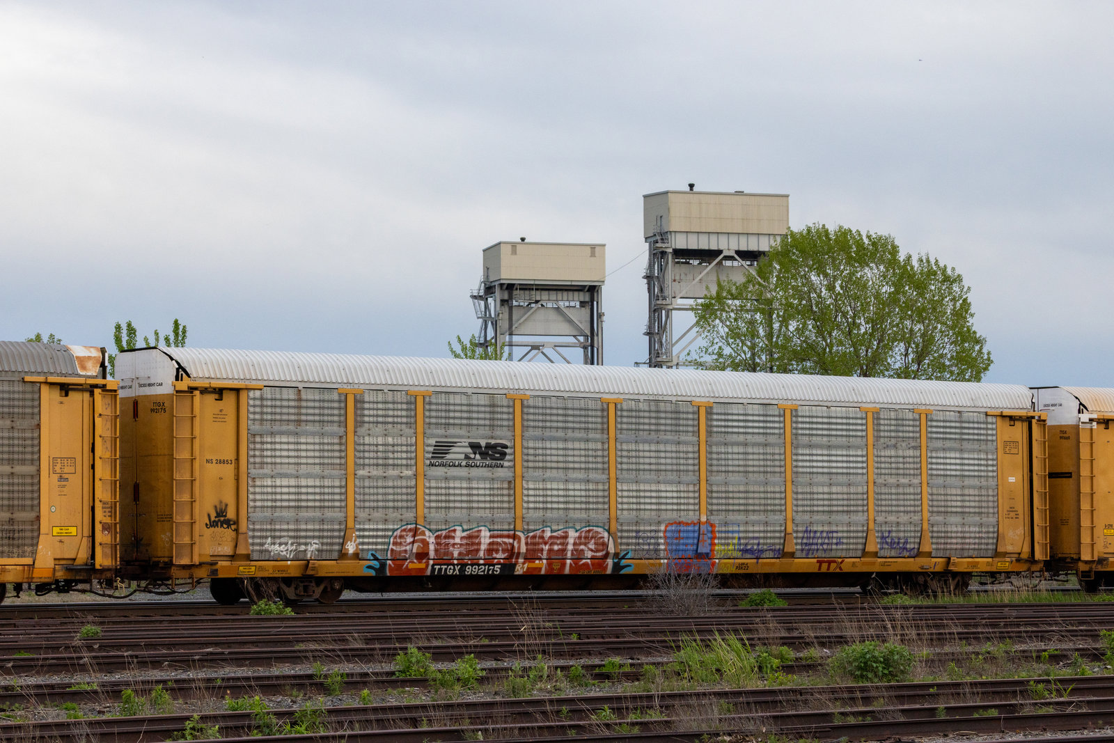 TTGX 992175