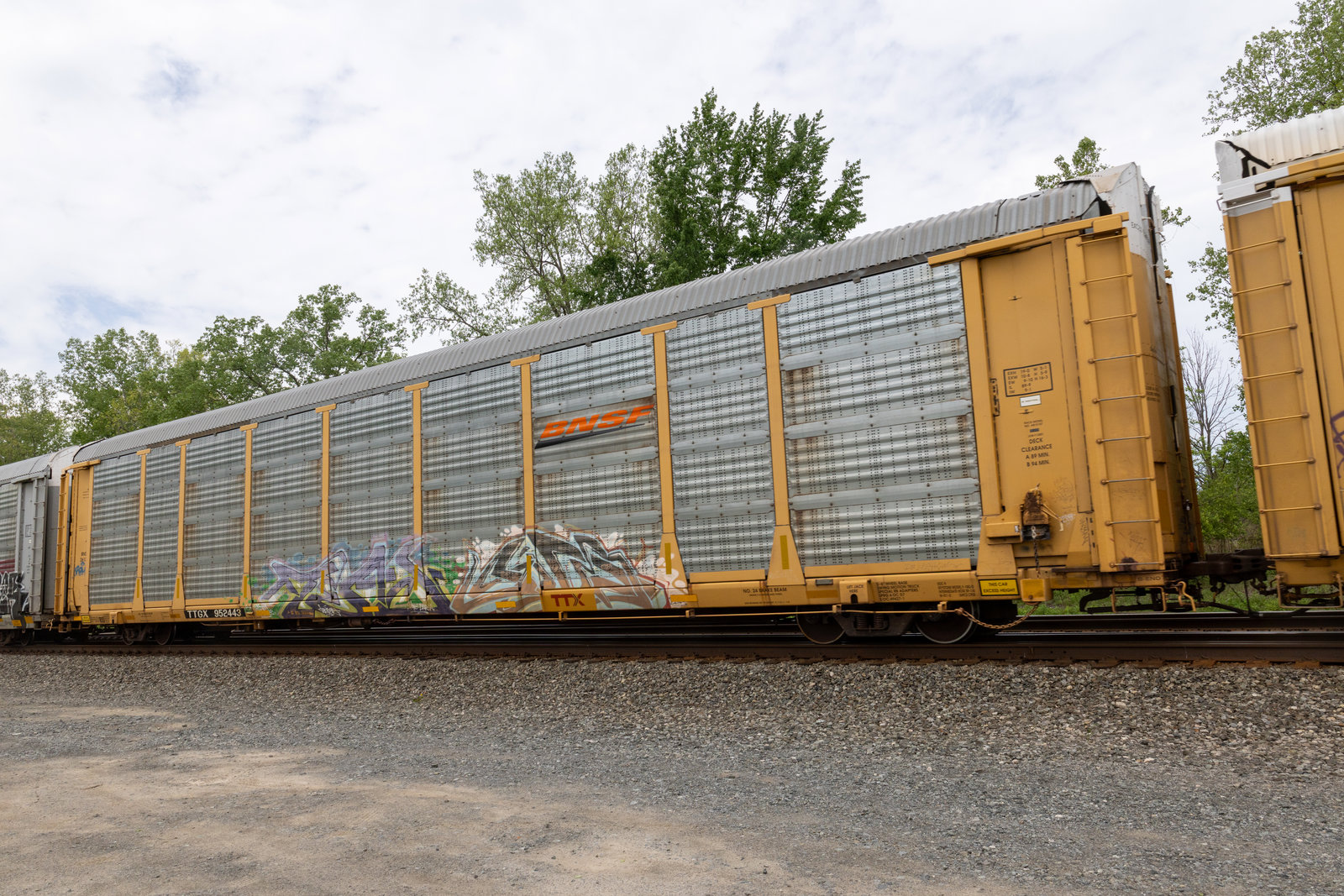 TTGX 952443