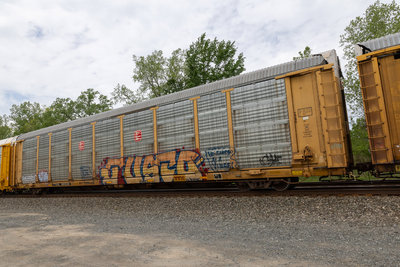 TTGX 991533