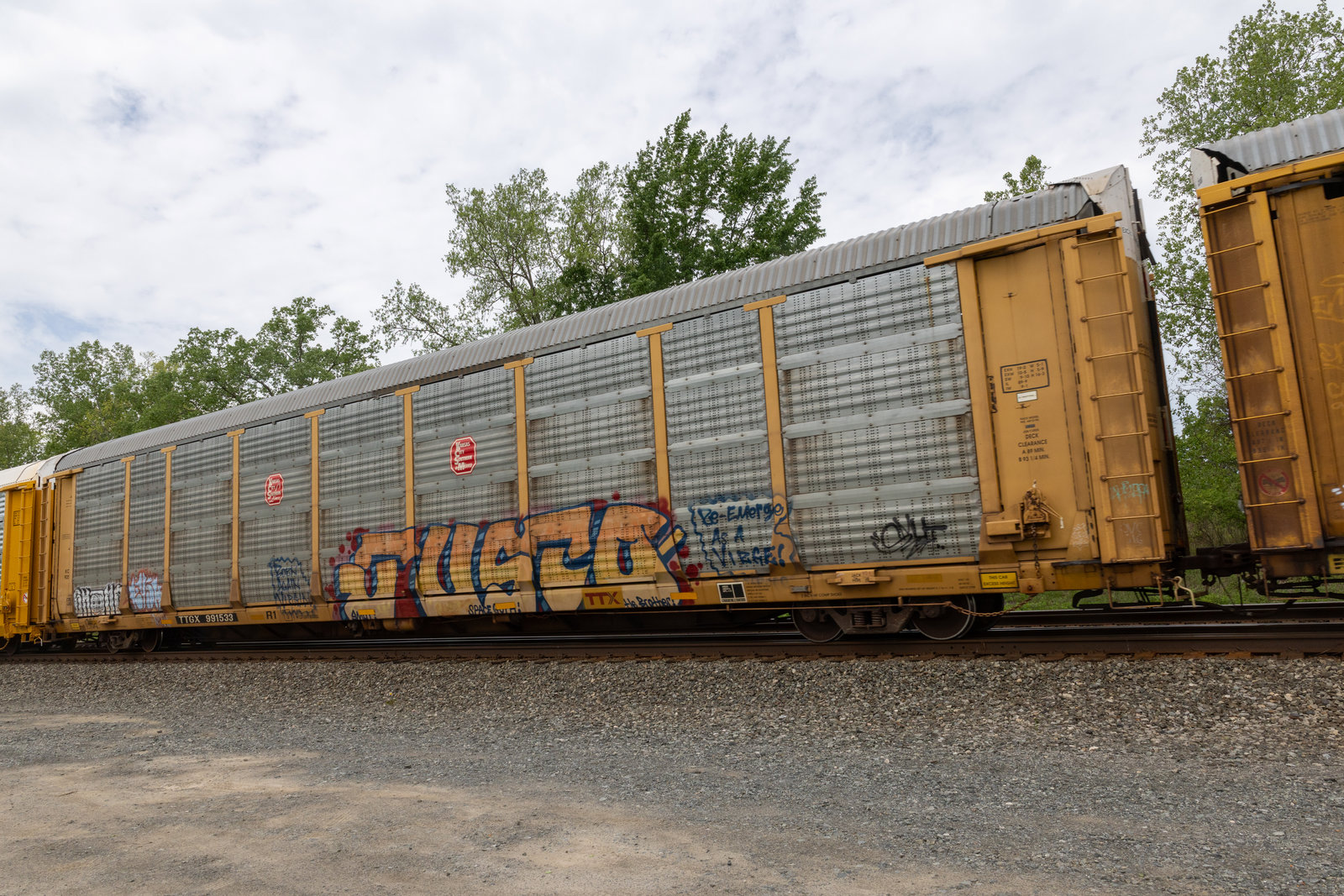 TTGX 991533
