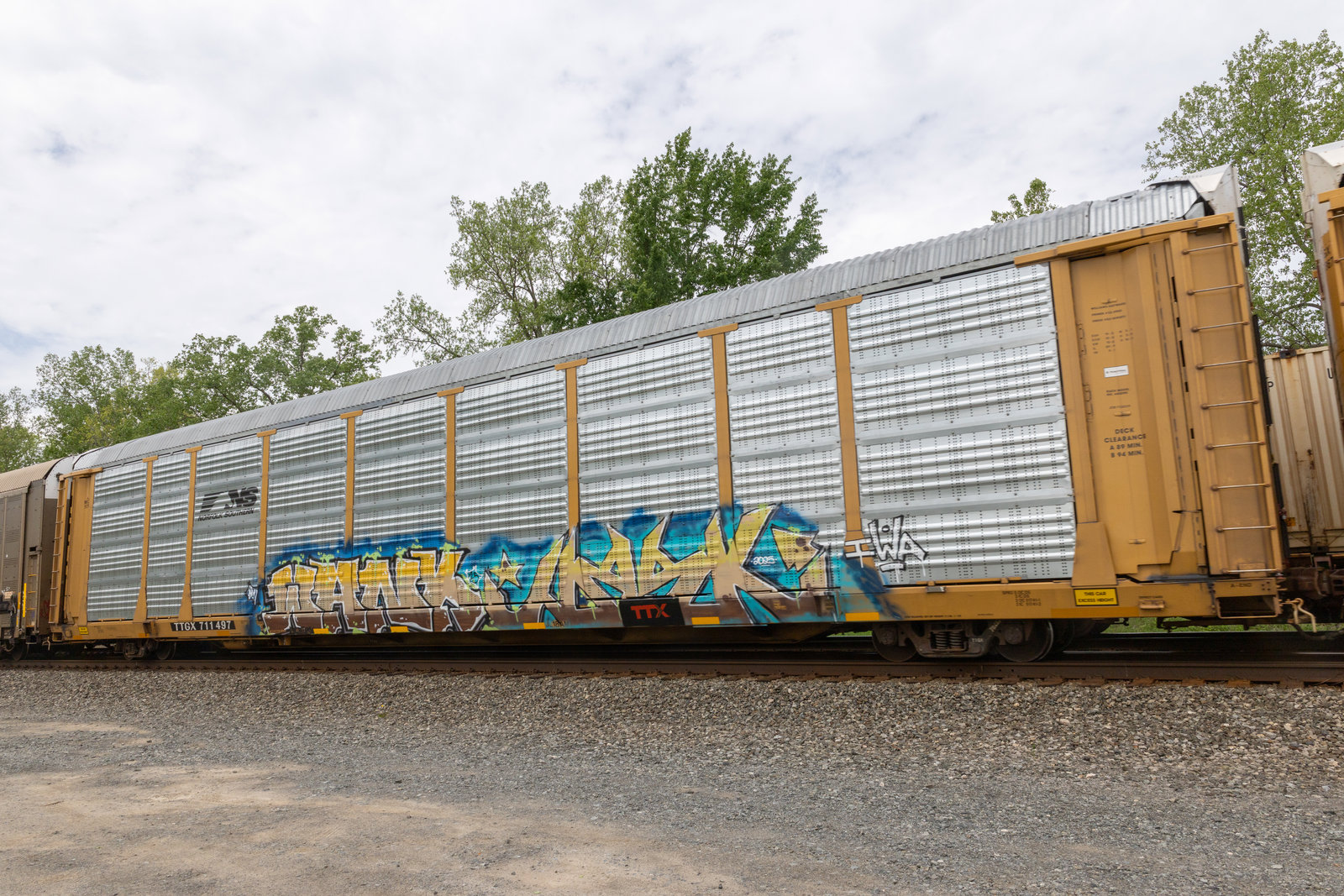 TTGX 711497