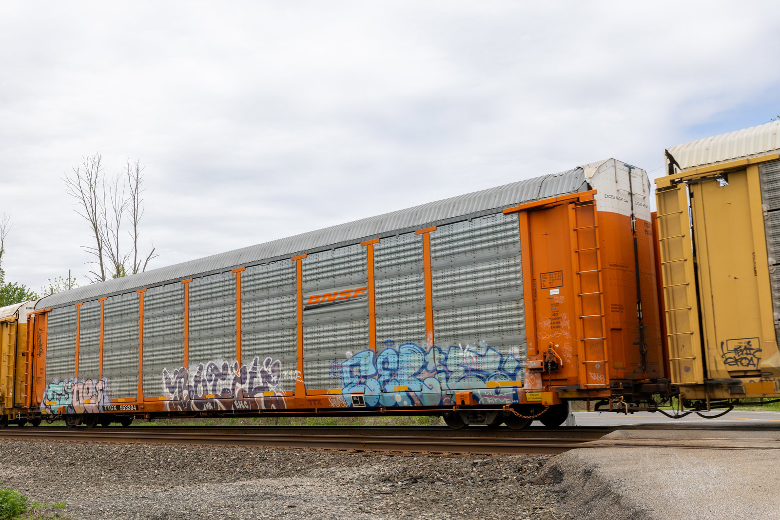 TTGX 953304