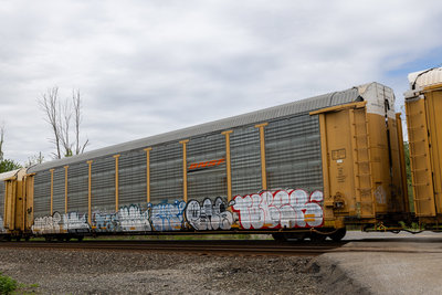 TTGX 952725