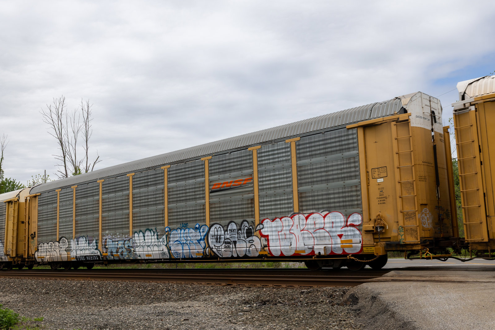 TTGX 952725