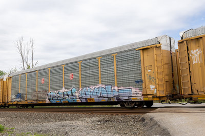 TTGX 973952