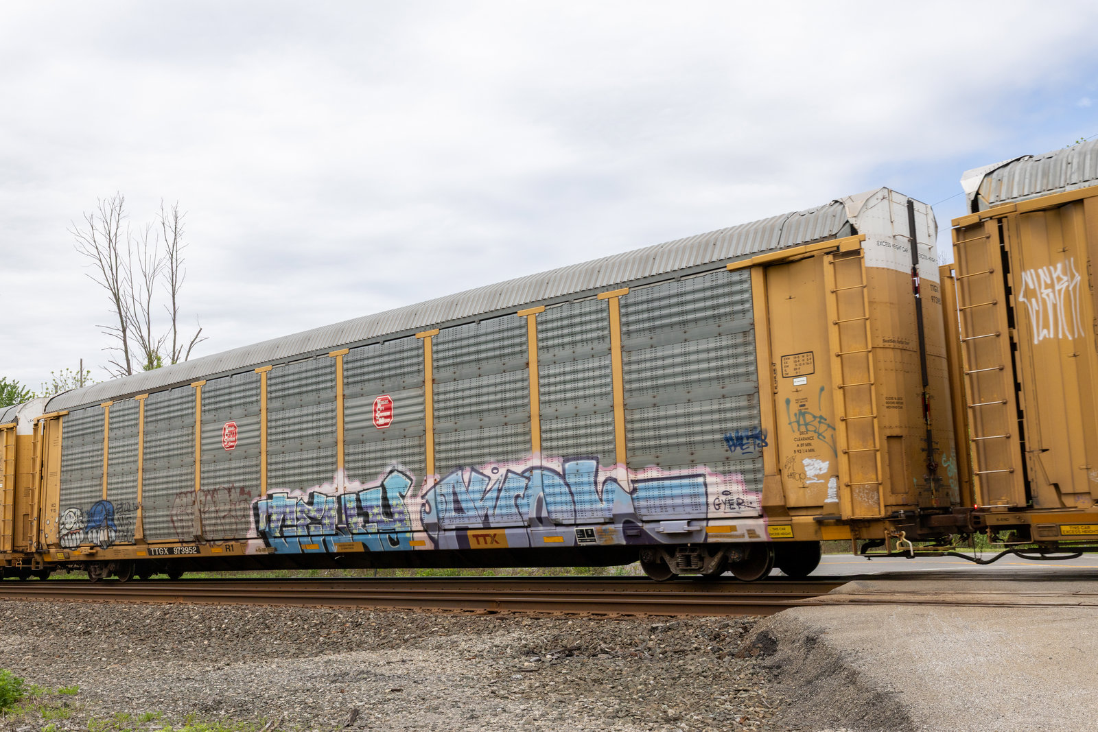 TTGX 973952