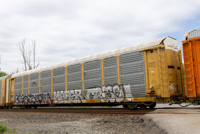 TTGX 964611