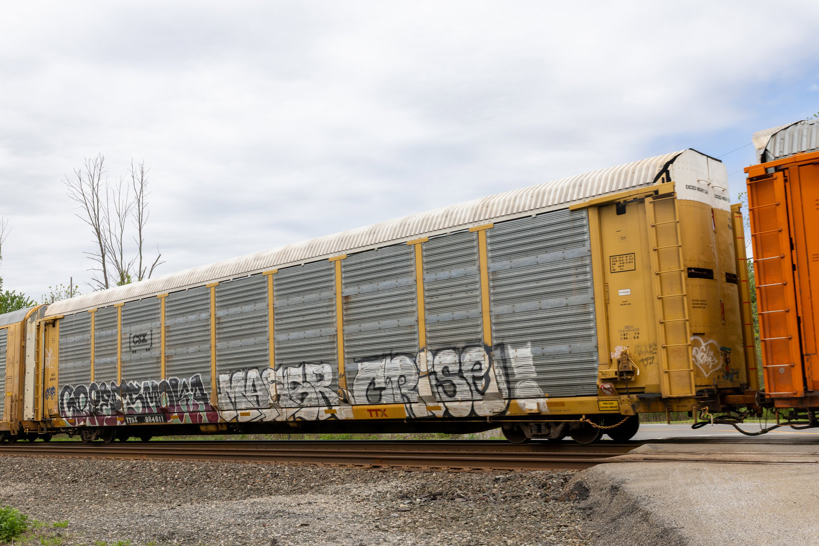 TTGX 964611