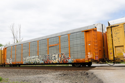 TTGX 953271