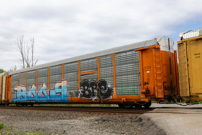 TTGX 952891