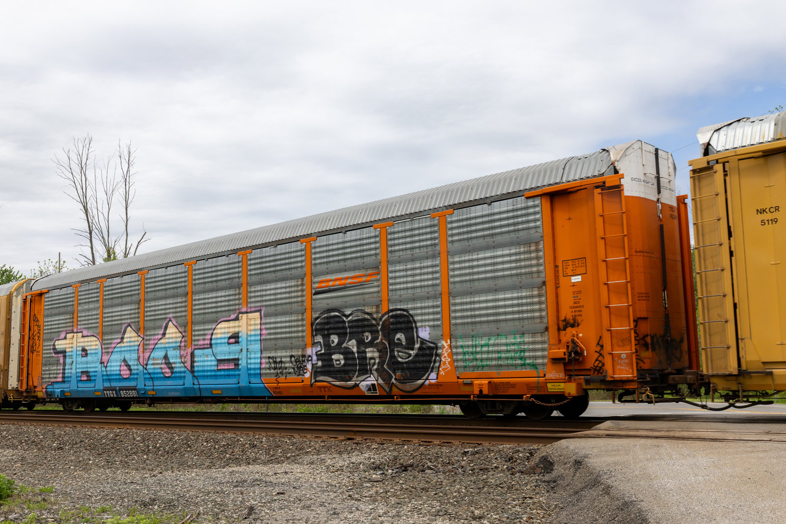 TTGX 952891