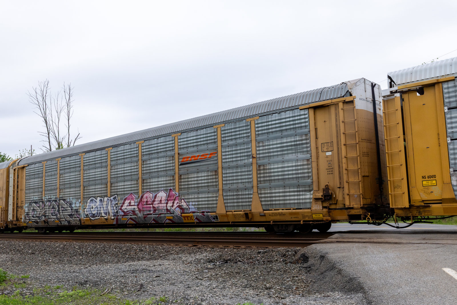 TTGX 704764