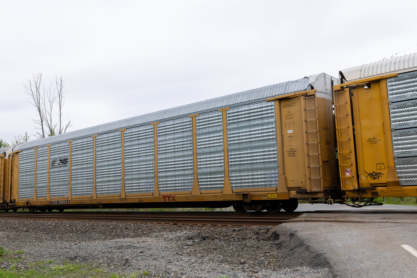 TTGX 988644