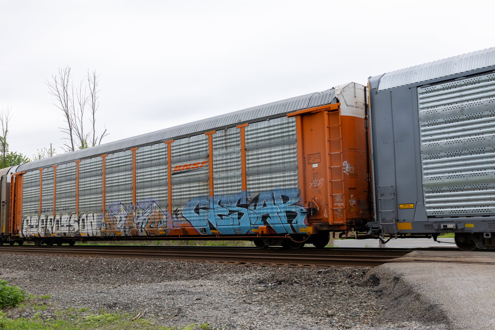 TTGX 952905