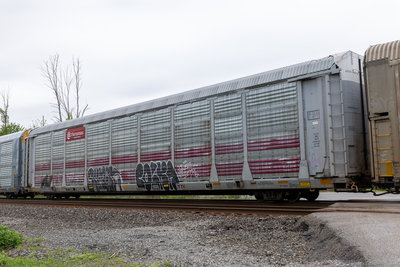 TTGX 705509